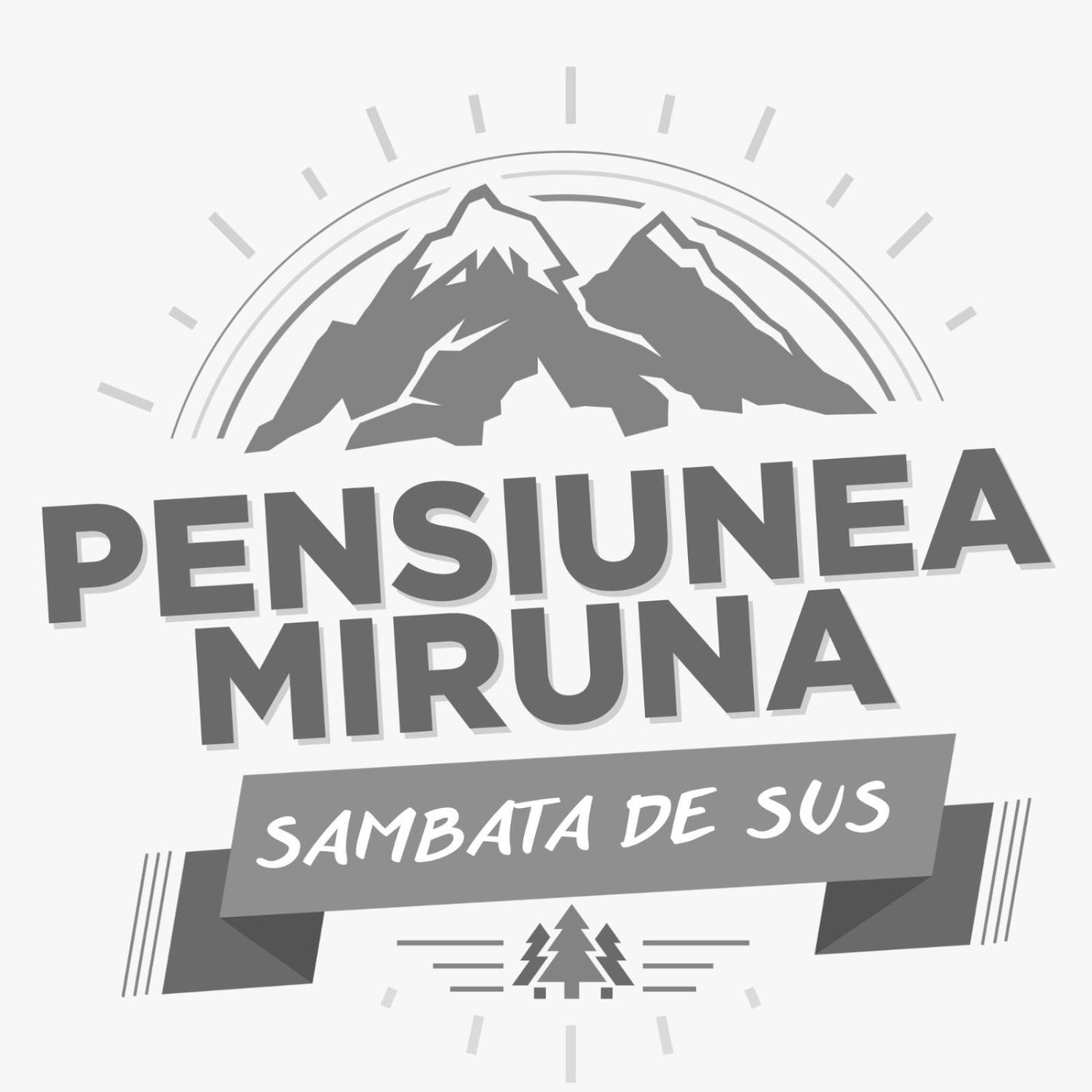 Hotel Miruna Sîmbăta de Sus Extérieur photo